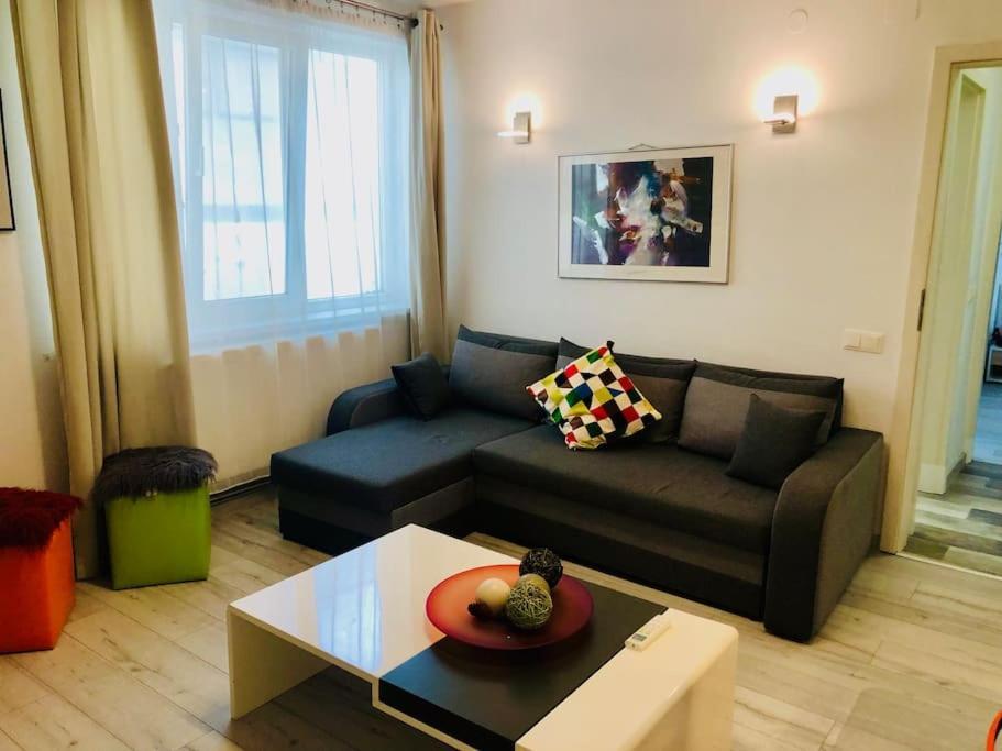 Joy City Stay Colonel Enescu 16 Тимишоара Экстерьер фото