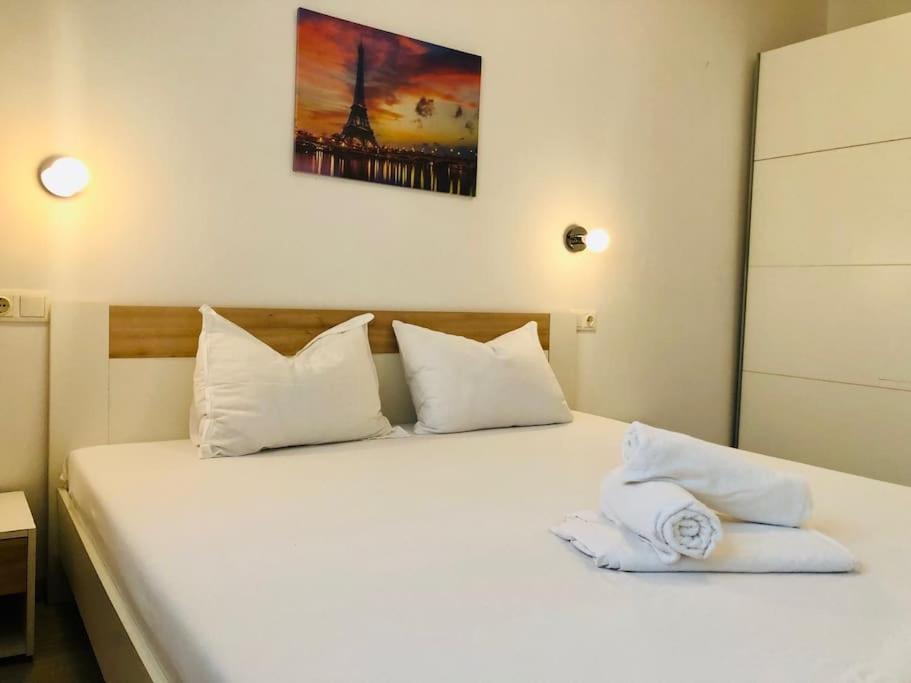 Joy City Stay Colonel Enescu 16 Тимишоара Экстерьер фото